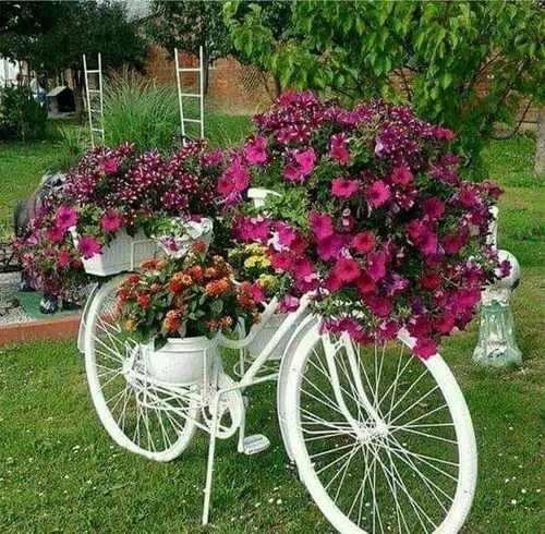 Grab the Attention with a Bicycle Planter for Blooms