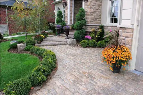 Green Garden with Orange Flowers