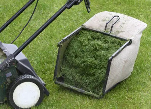 Keep Your Container Garden Happy