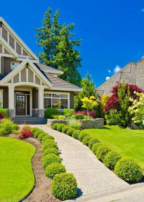 A Heady Mix of Green Grass and Colorful Plants