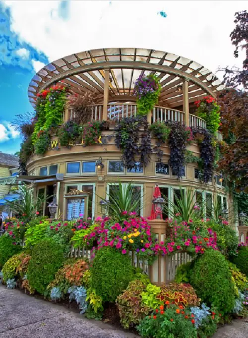 A Flood of Flowers and Variegated Plants on a Tall Building