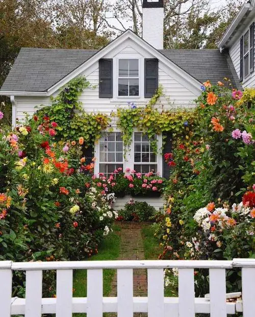 A Floral Tapestry with Trailing Plants