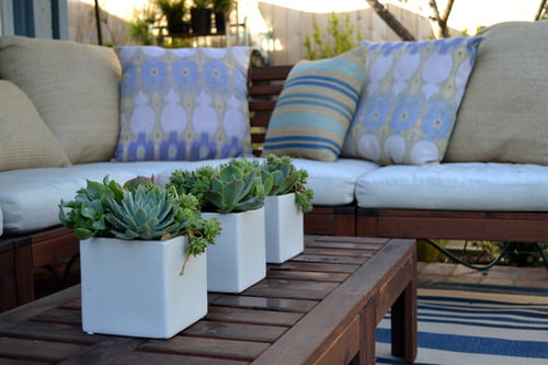 best Succulents Centerpiece and Arrangement Ideas