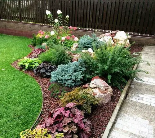 A Small Patch in the Front Yard