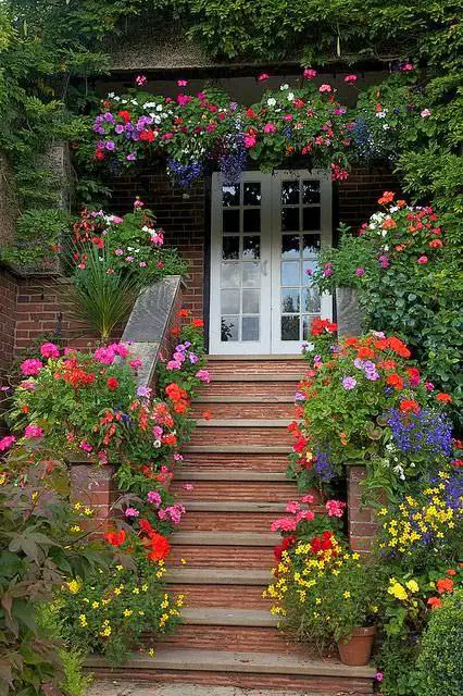 A Colorful Display of Different Flowers