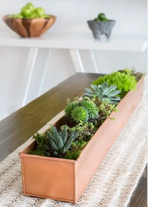 DIY Succulents with moss Centerpiece and Arrangement