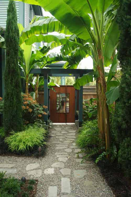 Eye-Catching Front Yard Landscaping Ideas A Tropical Entrance
