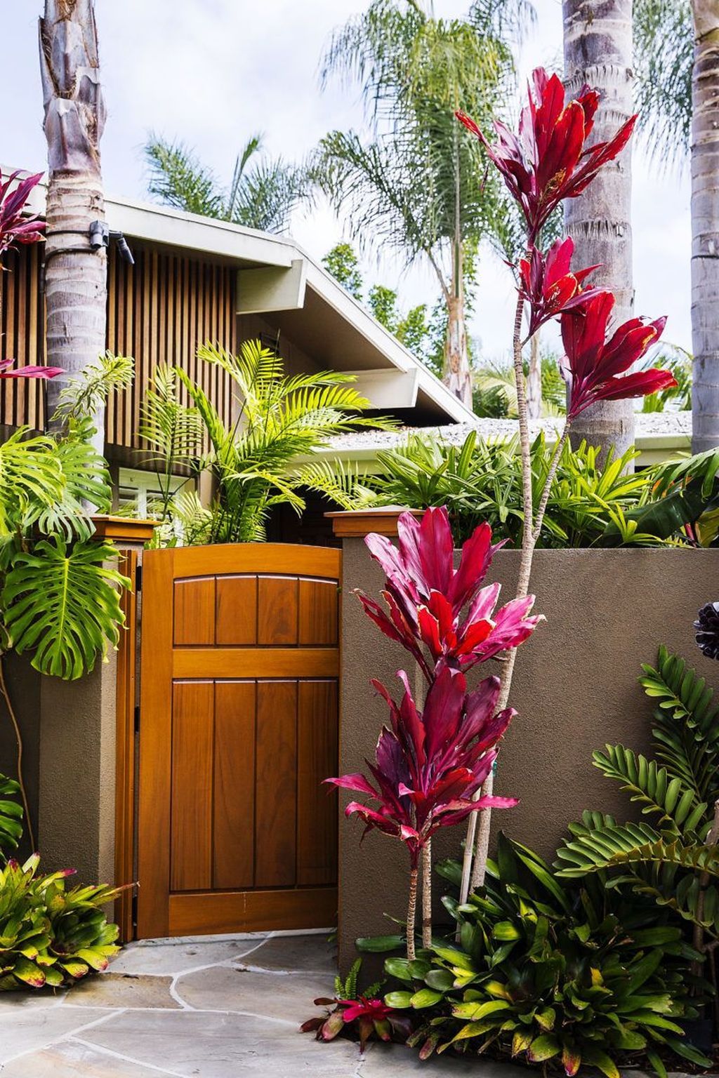 A Tall Cordyline by the Garden Gate