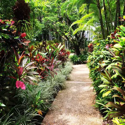 Vivid Cordyline with Other Colorful Foliage Plants