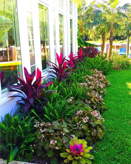 Vibrant Cordyline, Ferns, and Pretty Blooms Bordering the House