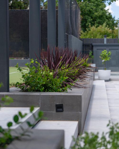 Landscape Exteriors with Mini Cordylines