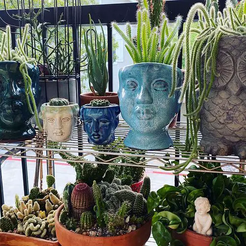 Add Cactus in Human Head Ceramics and Terracotta Pots