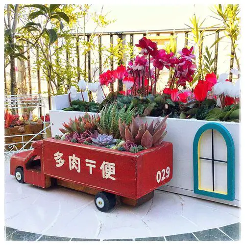 Red Succulent Truck Beside a Beautiful Floral Bed