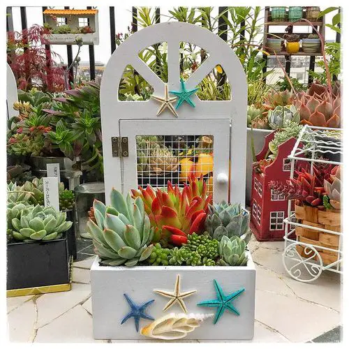 Mini Ornamental Carts Huts Boasting Colorful Succulents