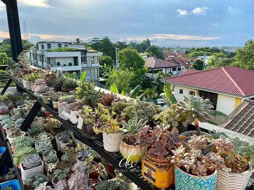 Tiered Plant Stand for Extended Balconies