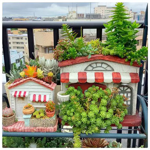 Install a Cement Hut and Display Your Succulent Collection in Style