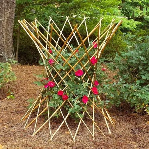 Willow Rose Stand