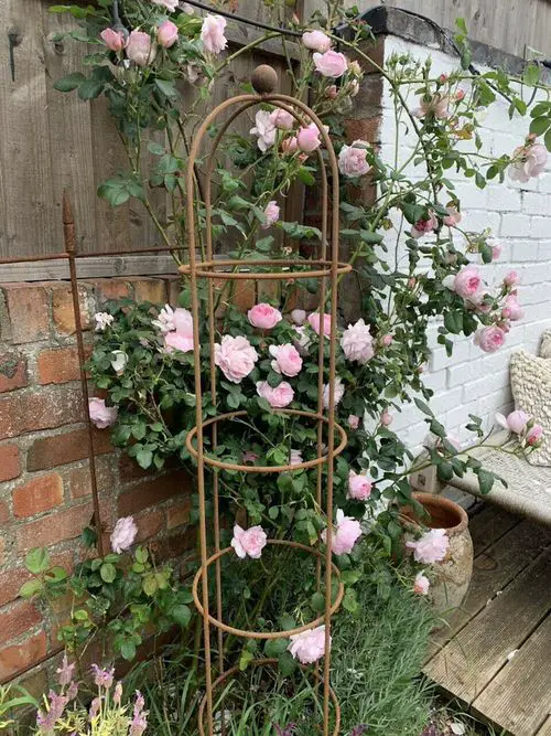 Rustic Plant Stand for Vertical Rose Garden