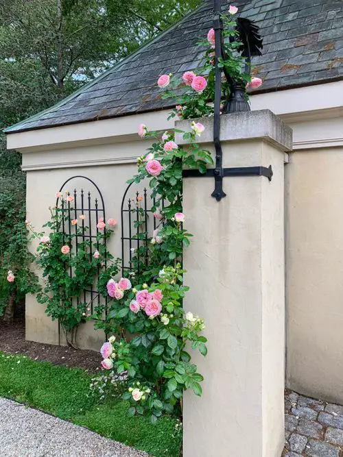 Train Them along The Garden Gate