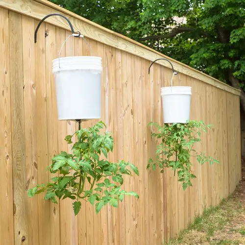 Topsy Turvy Fence Garden
