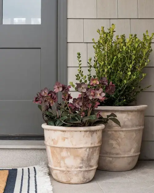Beautiful Front Door Container Ideas 7