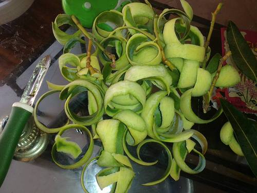 top Best Fruit Peels You Can Use as Fertilizers