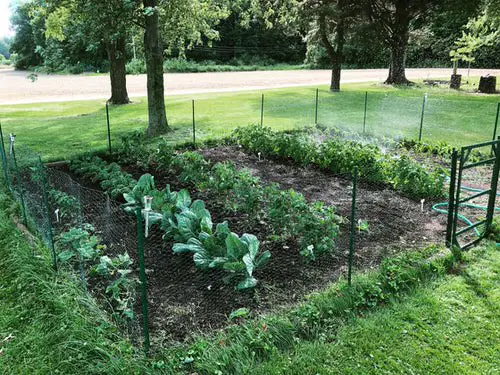 No Fencing is most common mistake