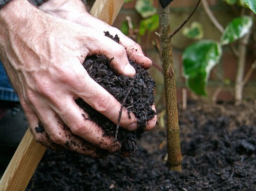Not Improving the Quality and Condition of Soil