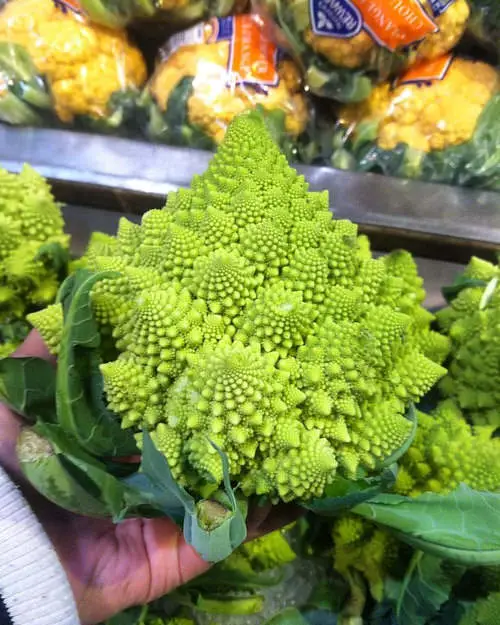 Amazing Flowers that are Vegetables