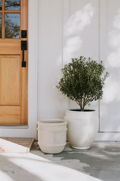 Beautiful Front Door Container Ideas 25
