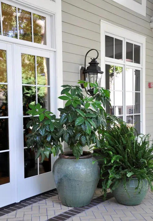 Beautiful Front Door Container Ideas 21