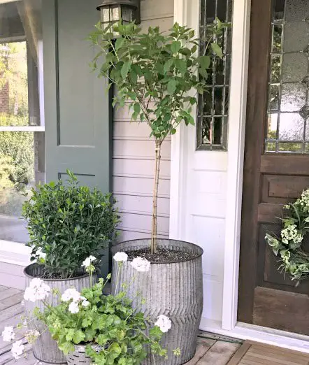  Beautiful Front Door Container Ideas 11