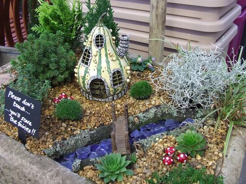 Striped Gourd Fairy Garden