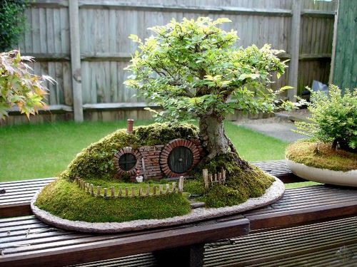 Magical Garden with a Bonsai