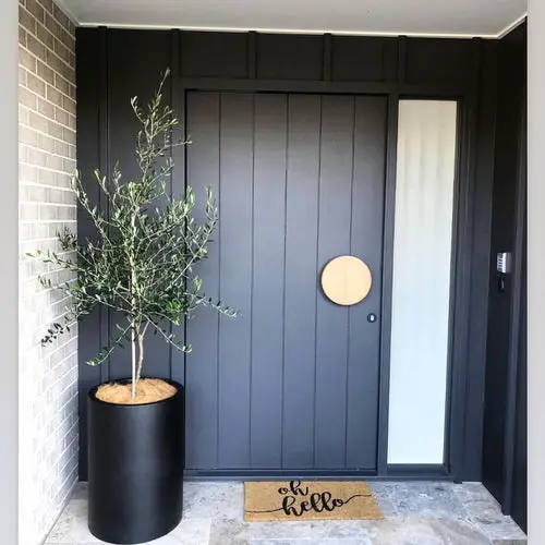  Beautiful Front Door Container Ideas 13