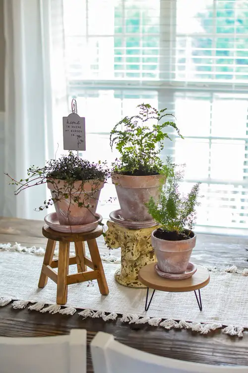 Fern Family on Mini Plant Stands