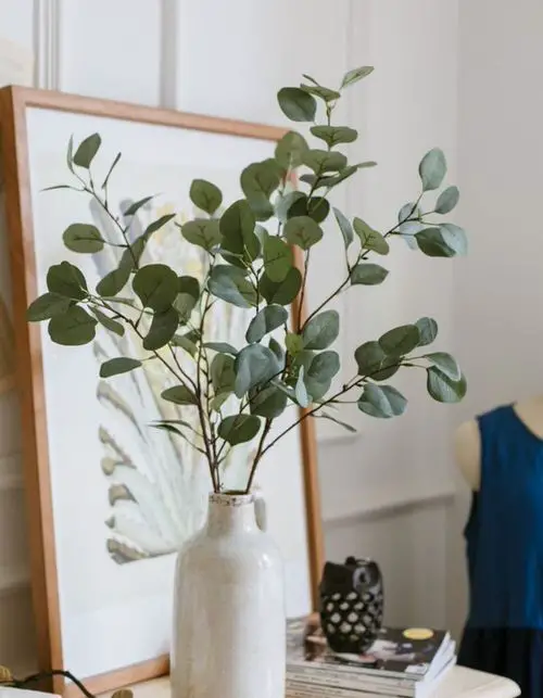 Stunning Eucalyptus in a White Beaker by a Framed Artwork
