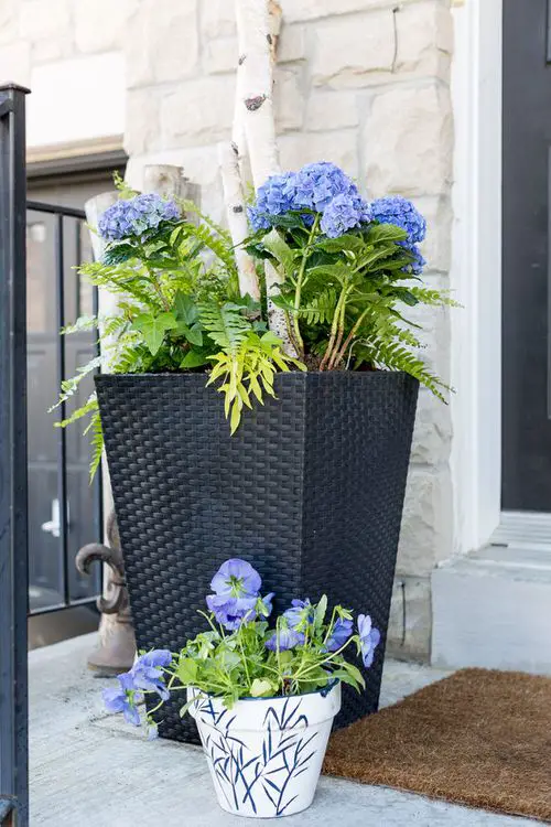Beautiful Front Door Container Ideas 3