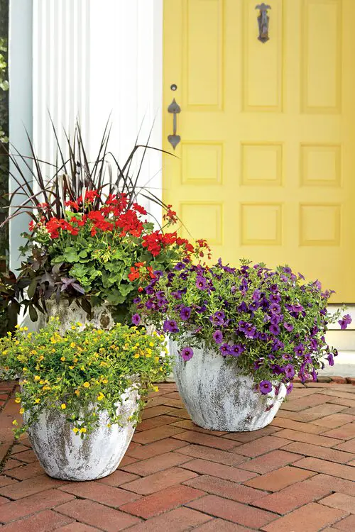 Beautiful Colorful Florals in Containers on the Porch