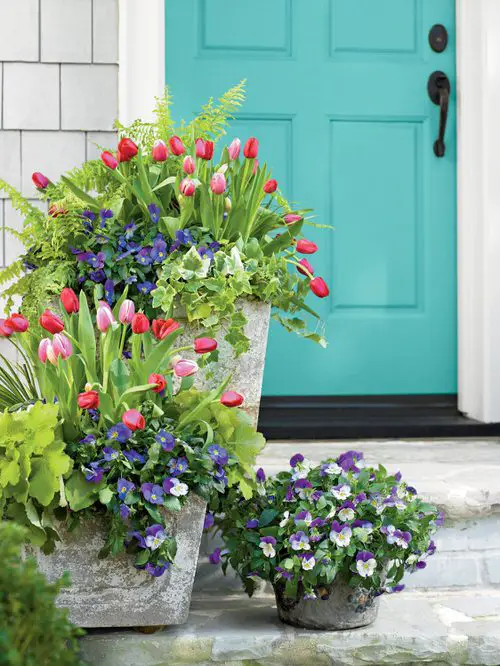  Beautiful Front Door Container Ideas 4