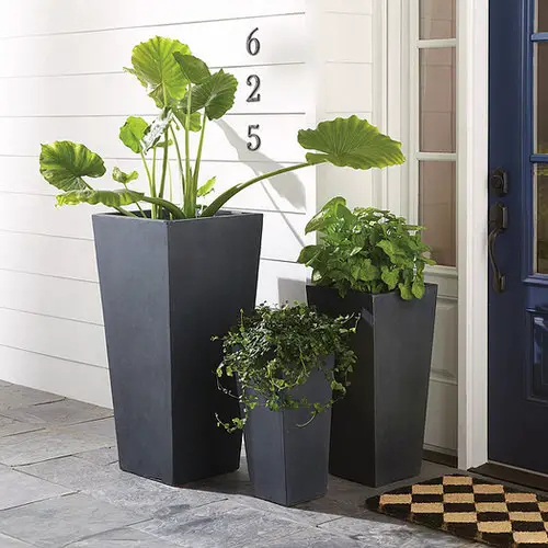  Beautiful Front Door Container Ideas 7