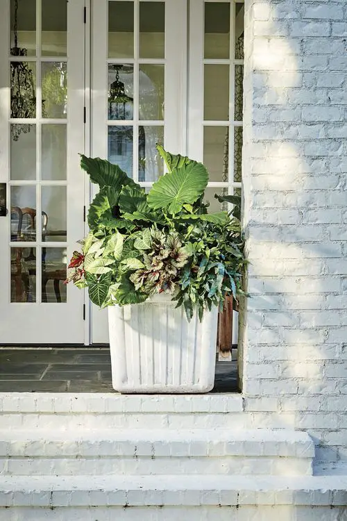  Beautiful Front Door Container Ideas 5