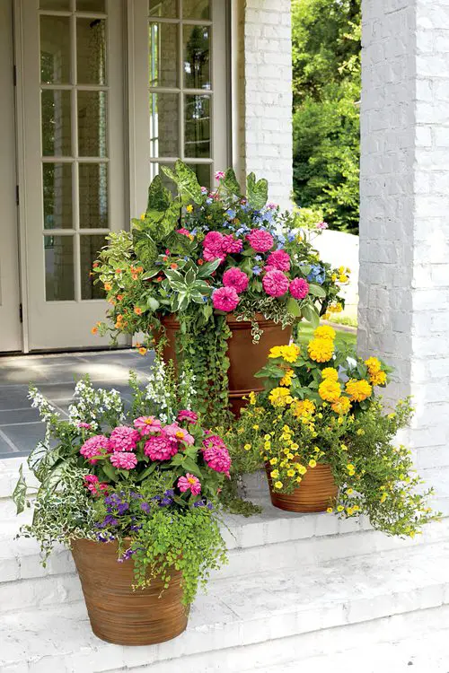  Beautiful Front Door Container Ideas 8