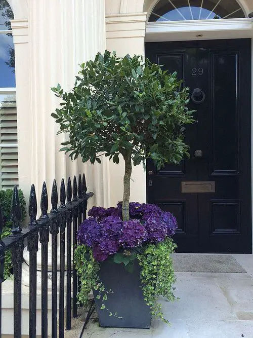 Beautiful Front Door Container Ideas 15