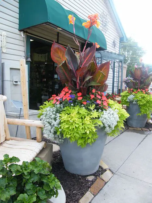  Beautiful Front Door Container Ideas 9