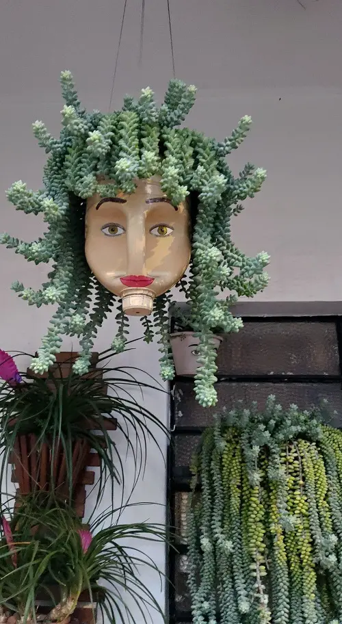 Cute and Unusual DIY Hanging Planters 1