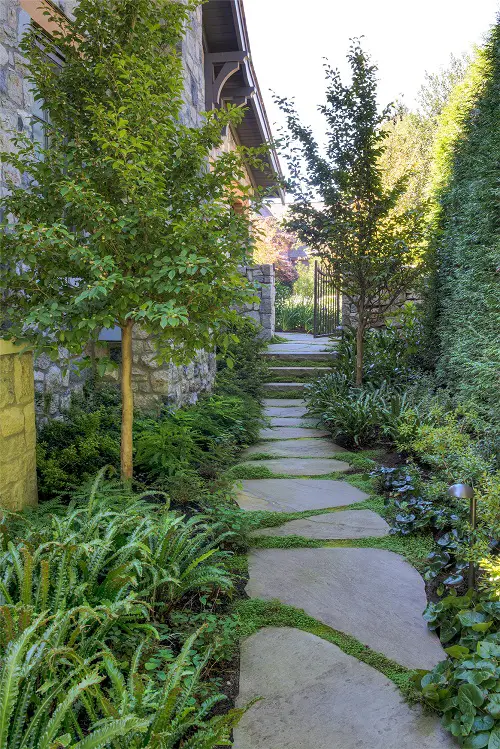 Landscaping Ideas for Long and Narrow Gardens