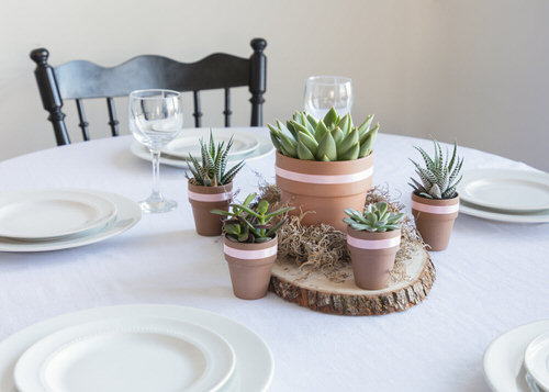 Succulent Centerpiece on a Slice of a Wooden Log