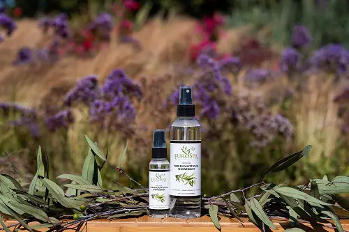 Eucalyptus Oil
