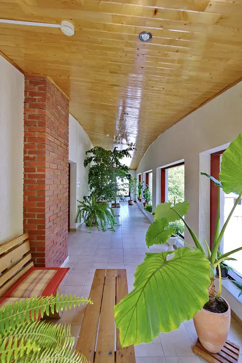 Flaunt the Tall Houseplants by the Windows
